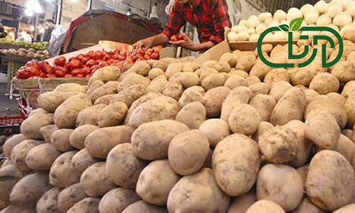 قیمت سیب زمینی شیرین در شیراز